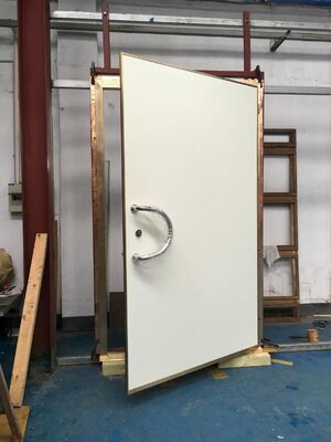 1.2 2.1m Size Of Door RF Shielded Windows Swing Door Model với kích thước tùy chỉnh cho các ứng dụng khác nhau